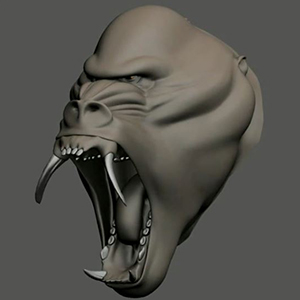 Anatomy Study