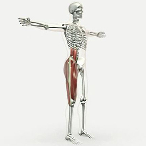 Sculpt